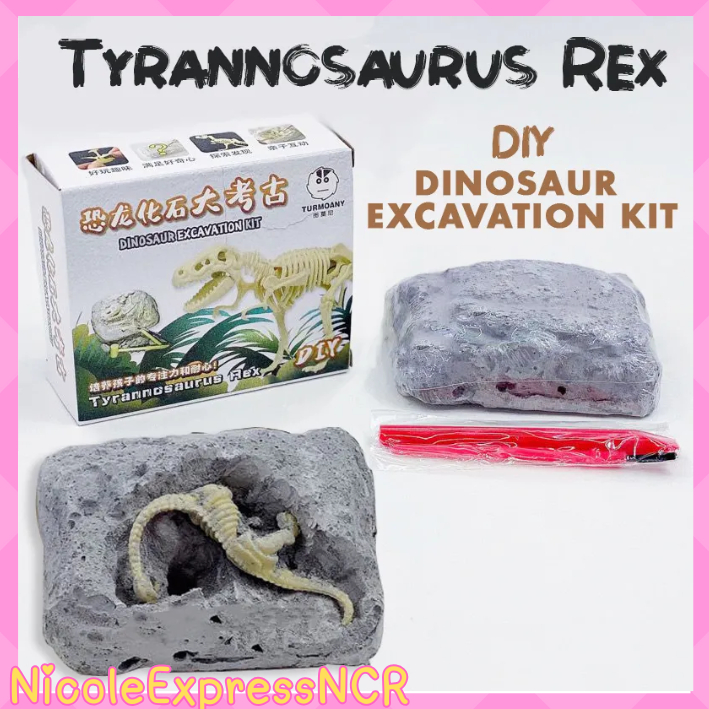 Science Dinosaur Toy for Kids, T-Rex Dinosaur Fossil Dig Kit Dinosaur ...