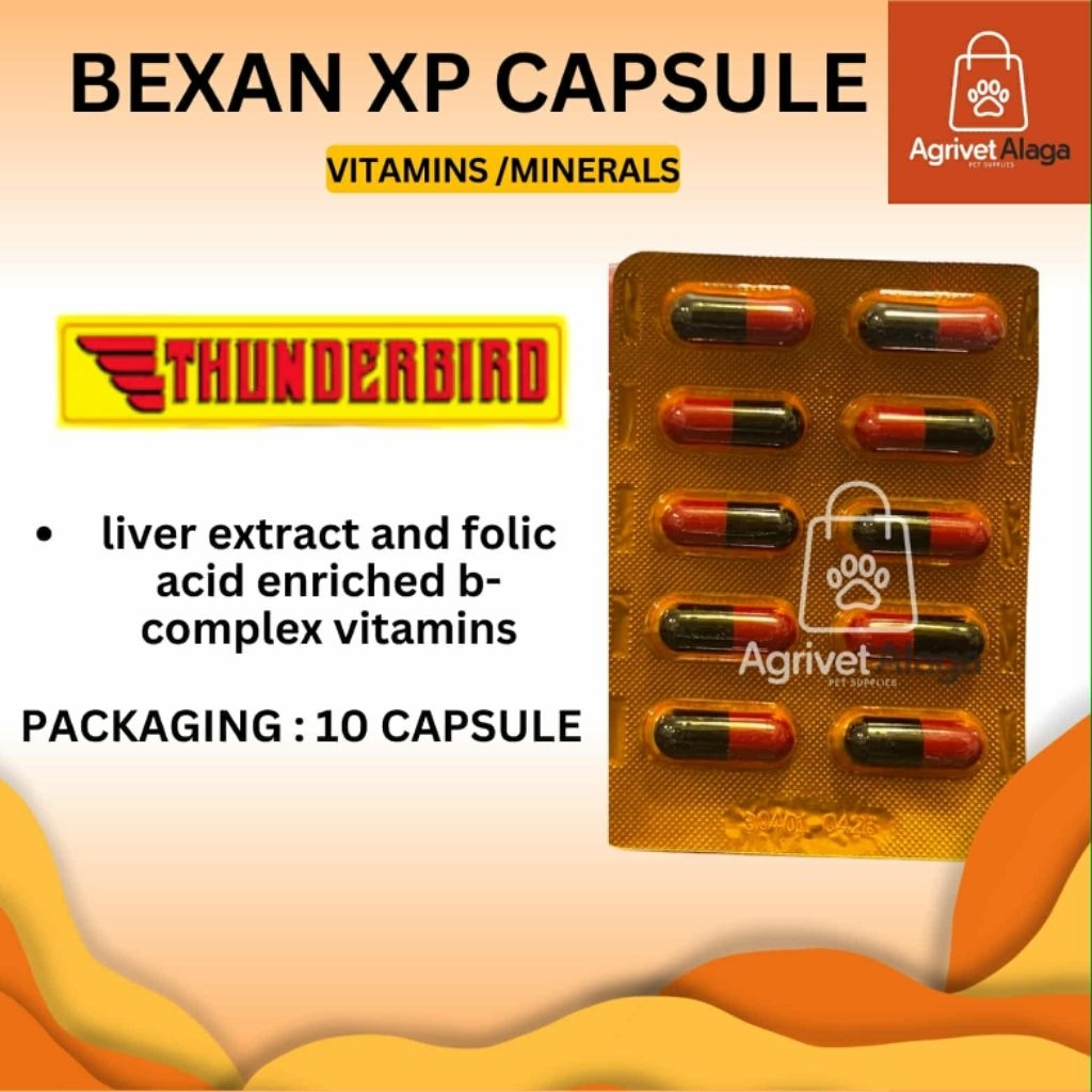 BEXAN XP BANIG 10 CAPSULE | Shopee Philippines