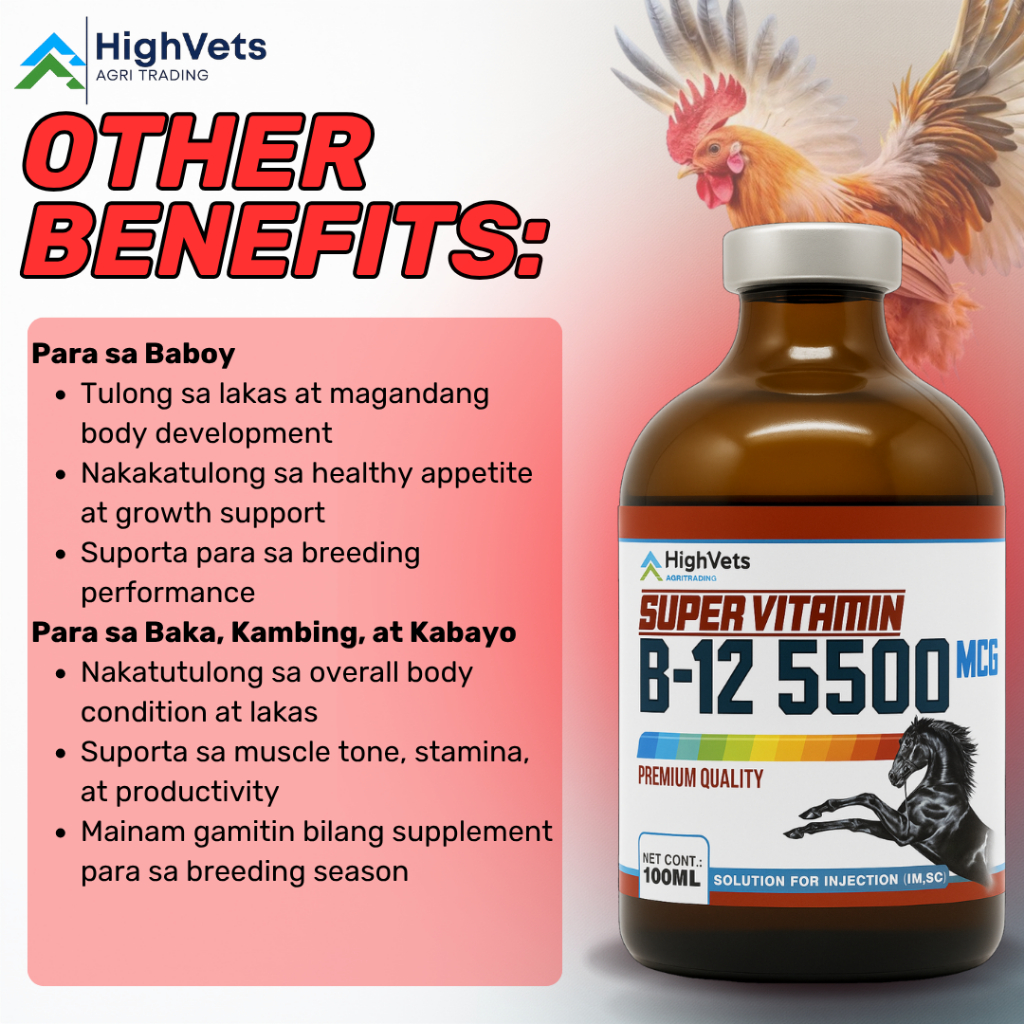 SUPER VITAMIN B12 With Liver Exract Gamefowl Conditioning, Chicken and  Support for Poultry animals