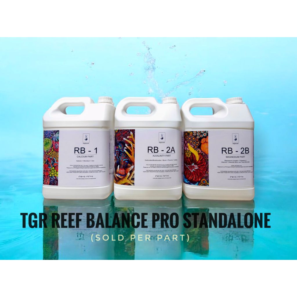 RB Pro Standalone Supplement (Sold per Part) | Shopee Philippines