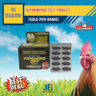 Vitminpro 357 Tablet - 10 Tablet per Banig | Shopee Philippines