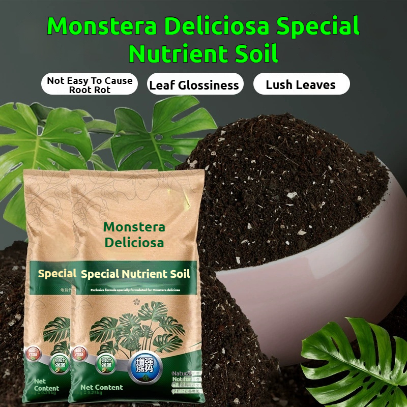 5KG Monstera Soil Premium Organic Monstera Deliciosa Soils Potting Mix For  Gardening Plants Growth | Shopee Philippines