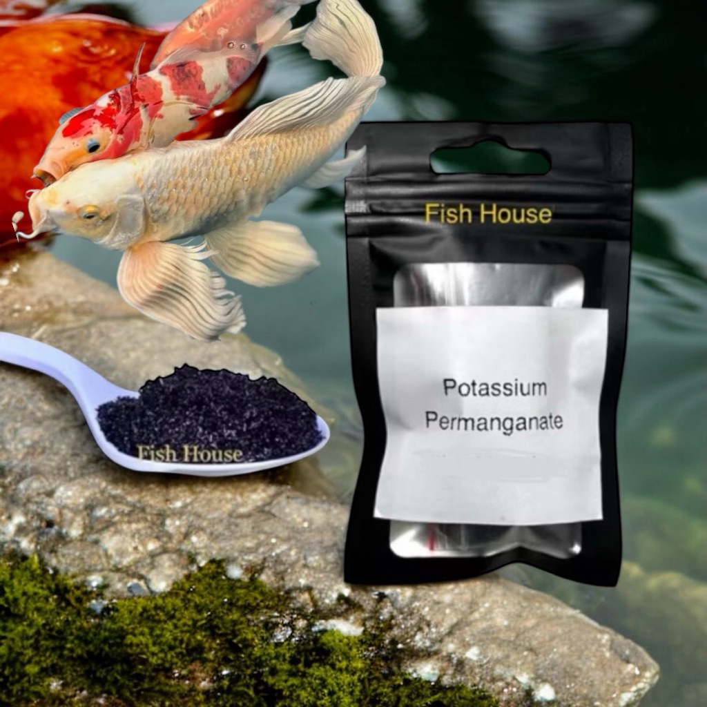 Shop koi fish for Sale on Shopee Philippines