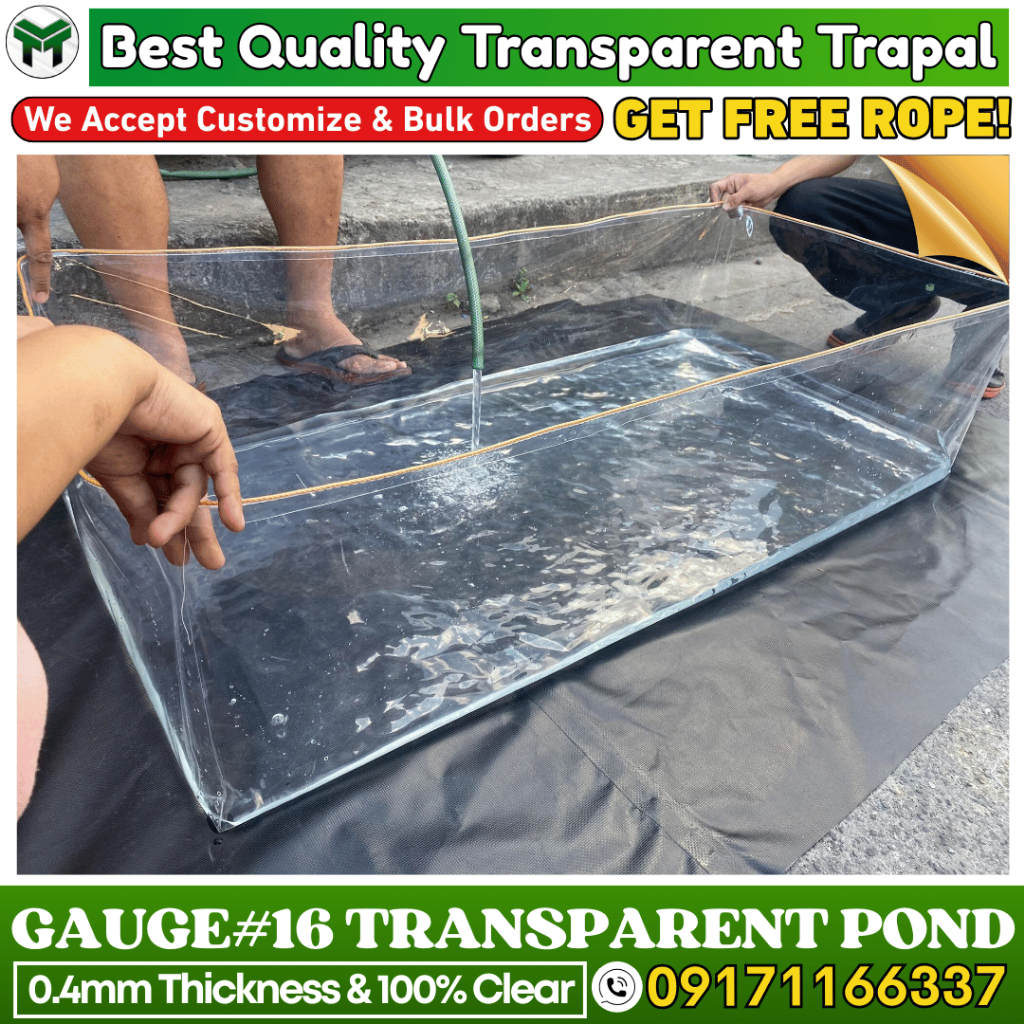AZOLLA GAUGE 16 AZOLLA POND TRANSPARENT CLEAR TRAPOND FISH POND FISH ...