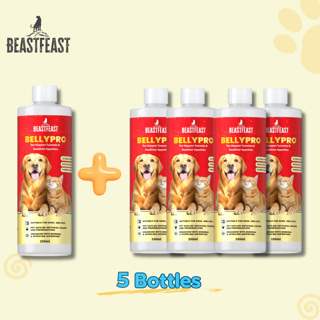 5PCS Beast Feast Belly Pro 12-Strain Probiotic + Prebiotic for Cats ...