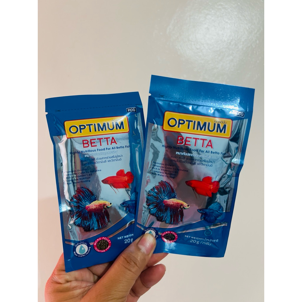 Shop betta fish for Sale on Shopee Philippines