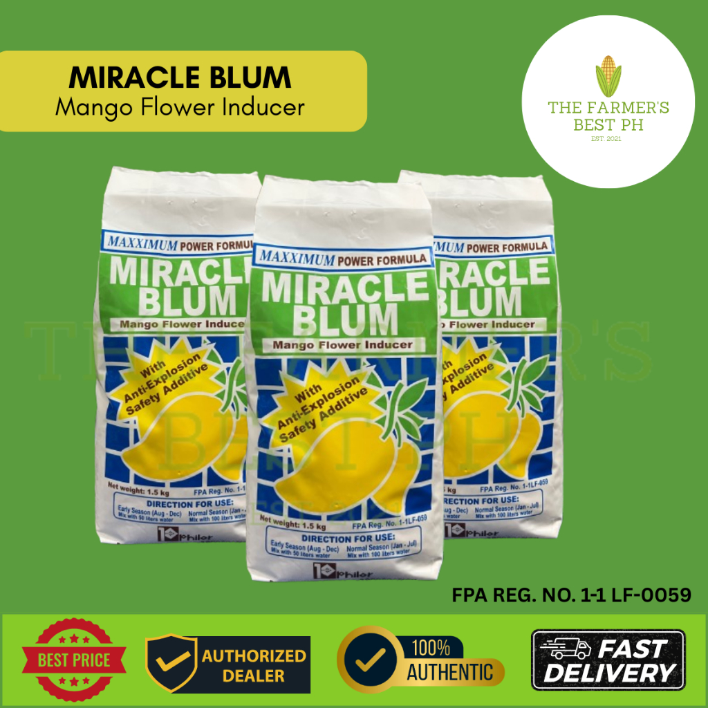 Miracle Blum Mango Foliar Flower Inducer 1.5 kg Calcium Nitrate Powder ...