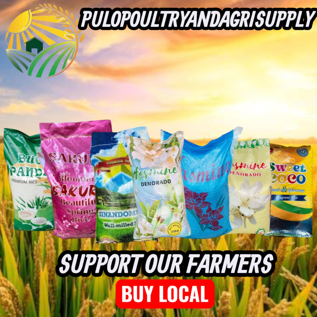 Shop rice 1kg for Sale on Shopee Philippines
