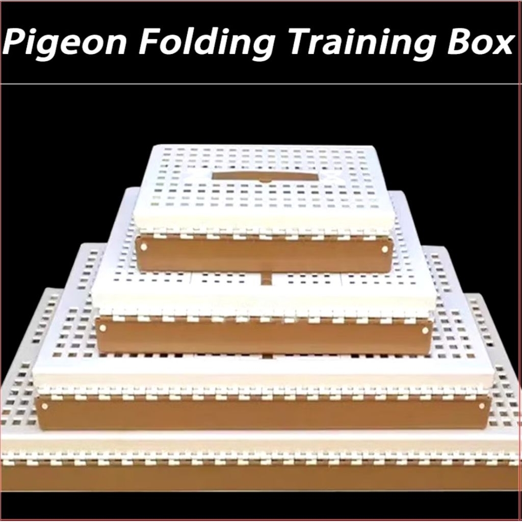Taiwan Training box S,M,L,XL pigeon T-box | Shopee Philippines