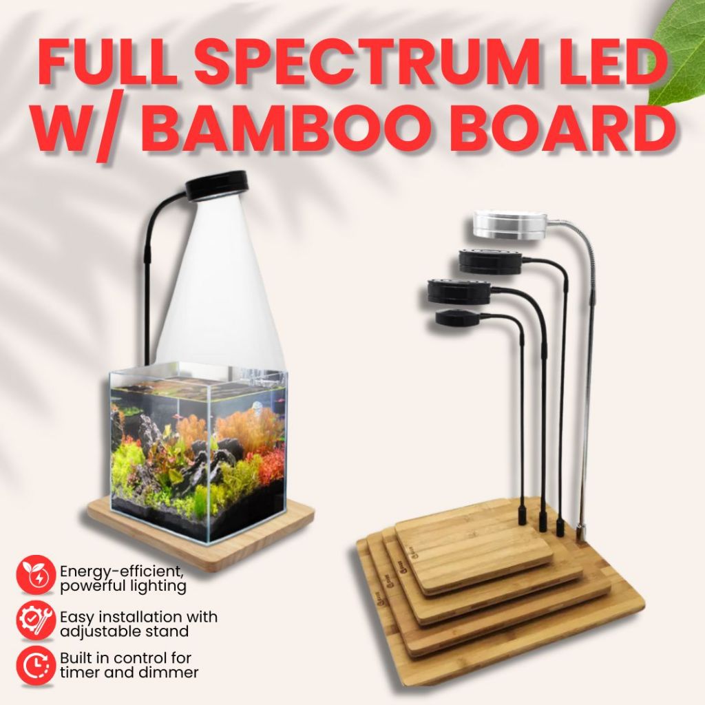 Led Lights w/ Bamboo Board V2 w/ built in timer and dimmer [For ...