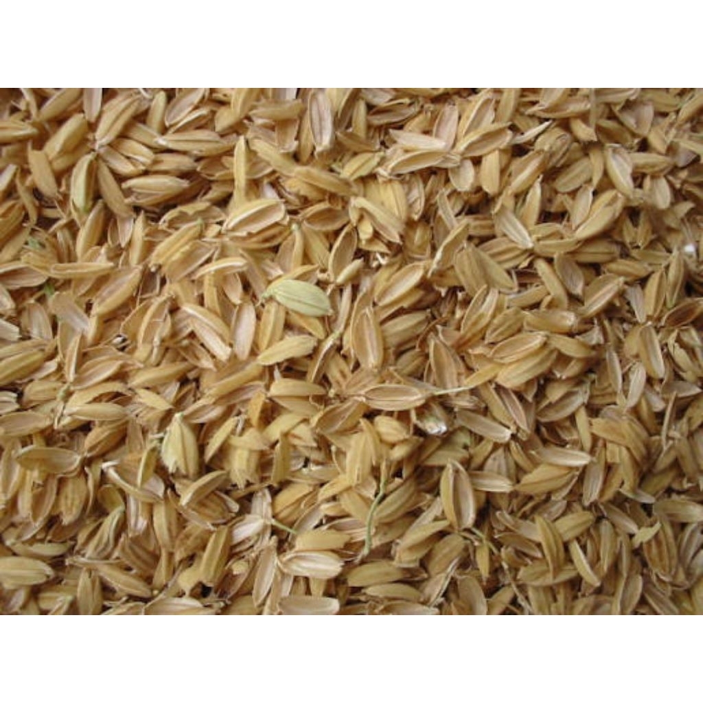 Ipa ng Palay / Rice Husks | Shopee Philippines