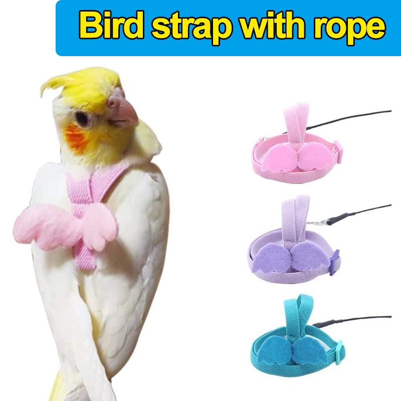 Bird leash Pet Parrot Bird Harness and Leash Flying Rope Straps for ...