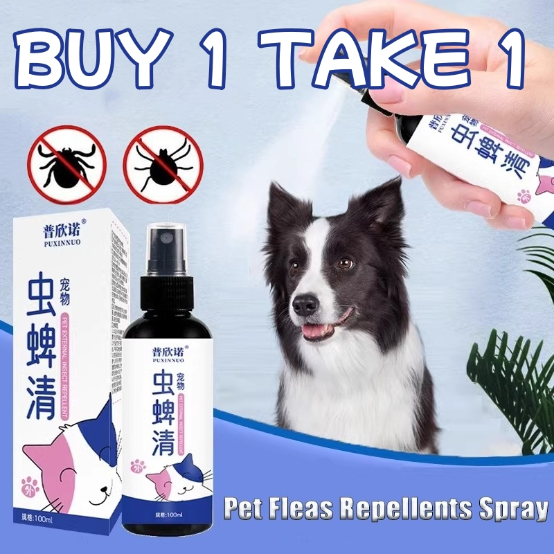 Shop repellent insect spray for Sale on Shopee Philippines