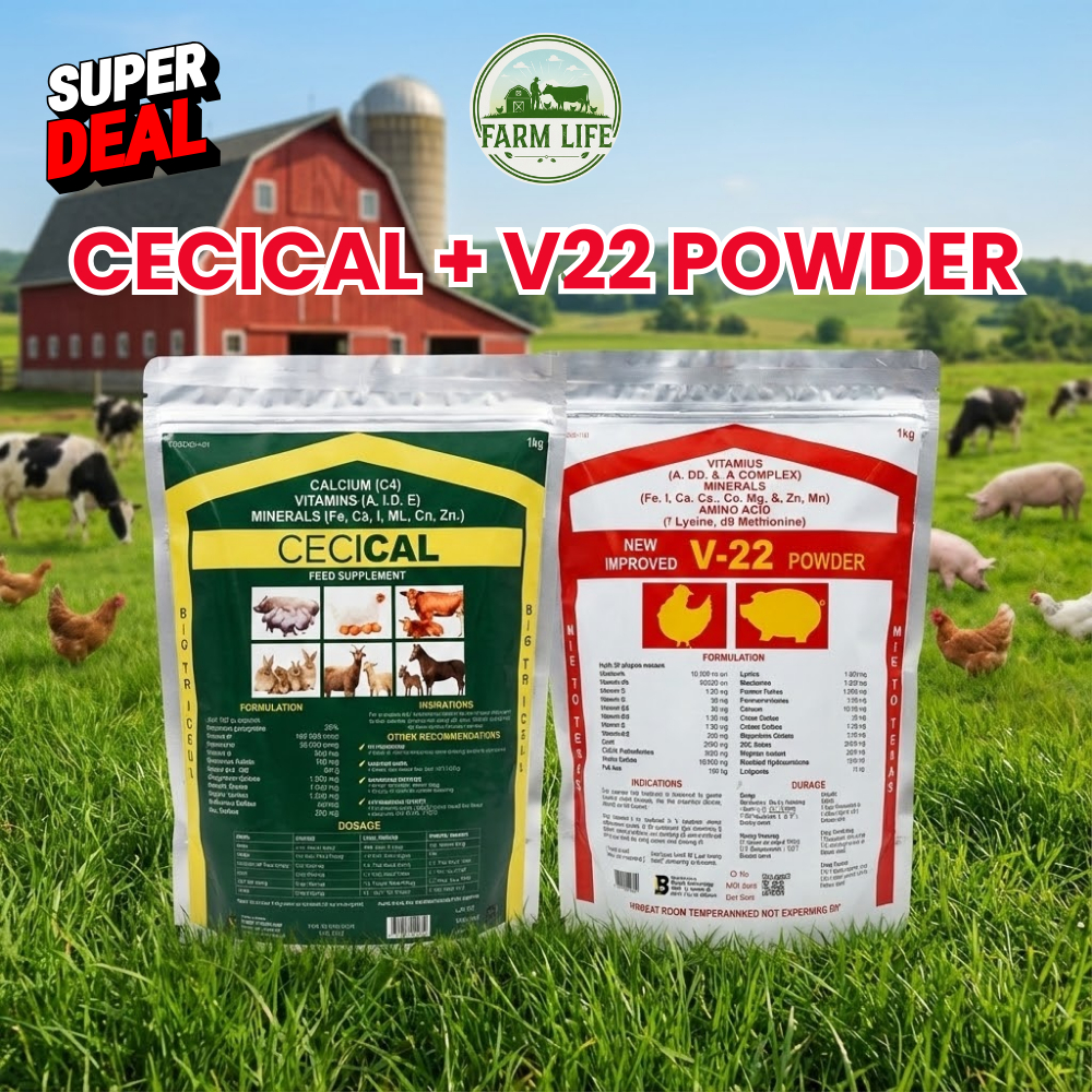 [Bilang maging bilyonaryo] 1 kg Cecical + 1 kg V22 powder Cecical ...