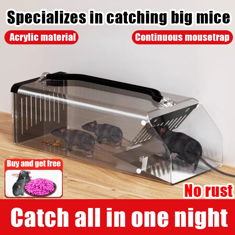 【100% rat catching】Heavy Duty Mouse Trap Free powerful bait Mouse Rats ...