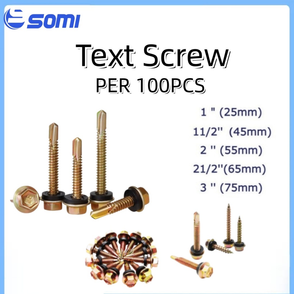 Text Screw for Metal Steel and Wood (Per 100 pcs) | Shopee Philippines