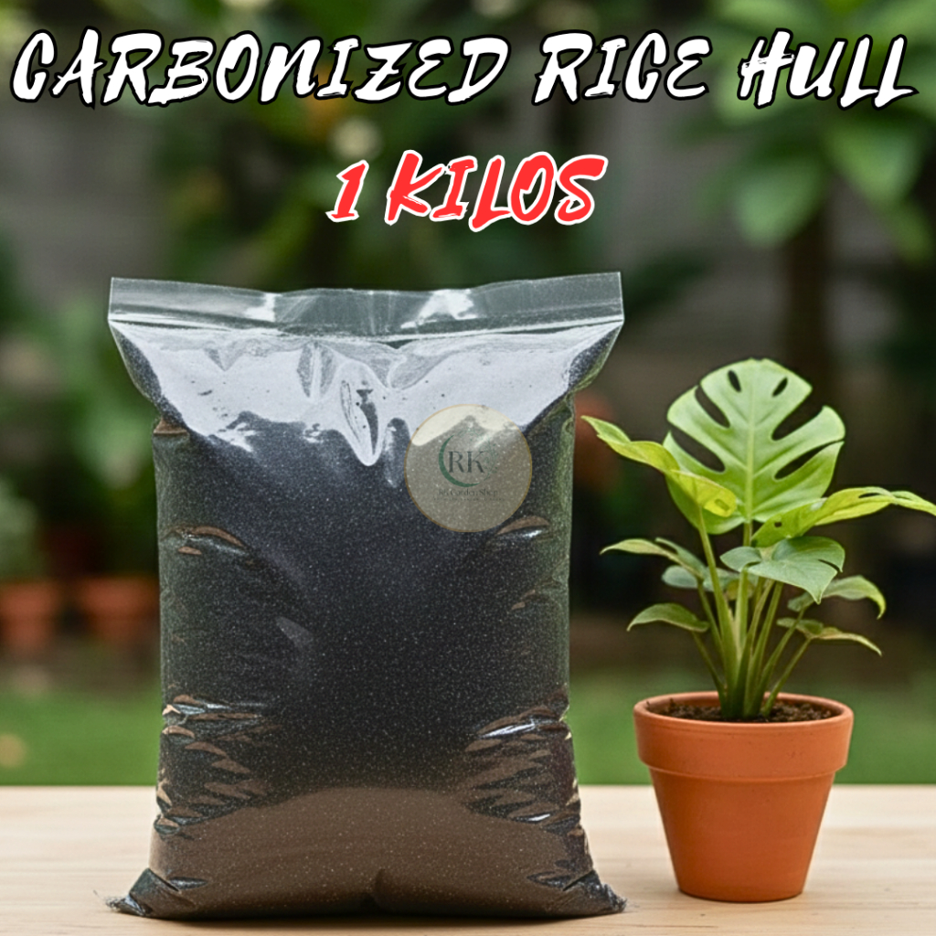 rice 1kg varieties for meals | Shopee PH