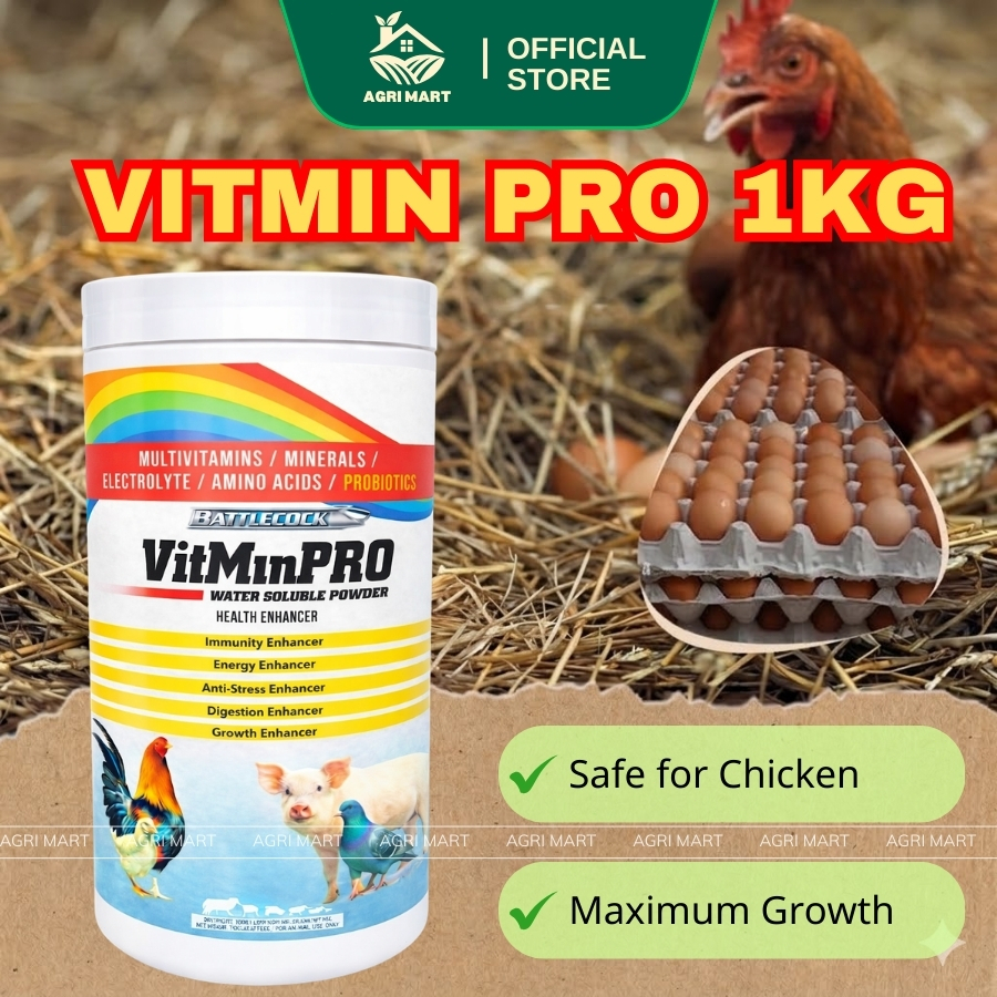 Shop vitmin pro for Sale on Shopee Philippines