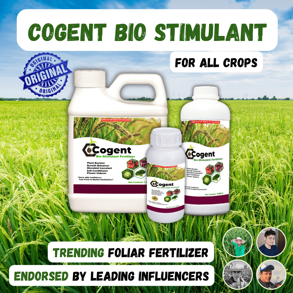 Shop cogent for Sale on Shopee Philippines