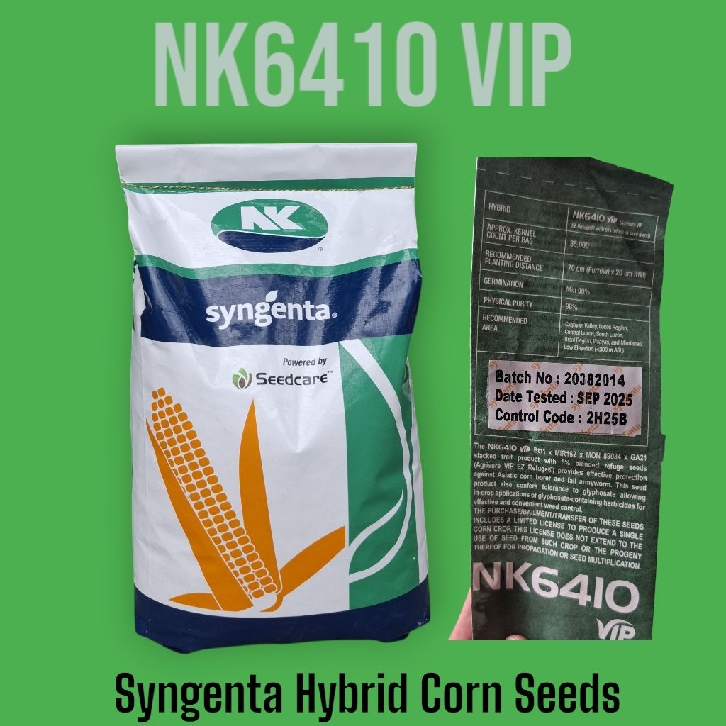 NK 6410 VIP Hybrid Corn Seeds by Syngenta | Shopee Philippines