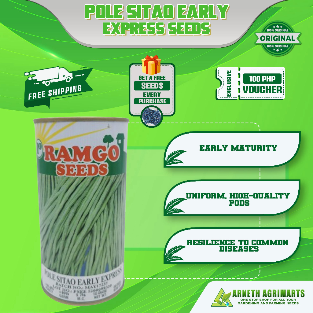 RAMGO POLE SITAO EARLY EXPRESS SEEDS 100 GRAMS ORIGINAL CAN | Shopee ...