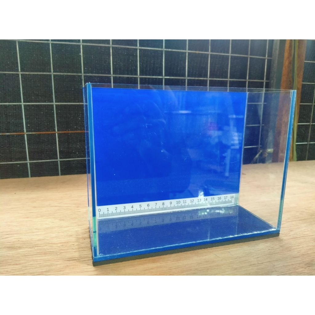 Show Tank (20x8x16cm/8x3x6inches) Blue Background w/ ruler | Shopee ...