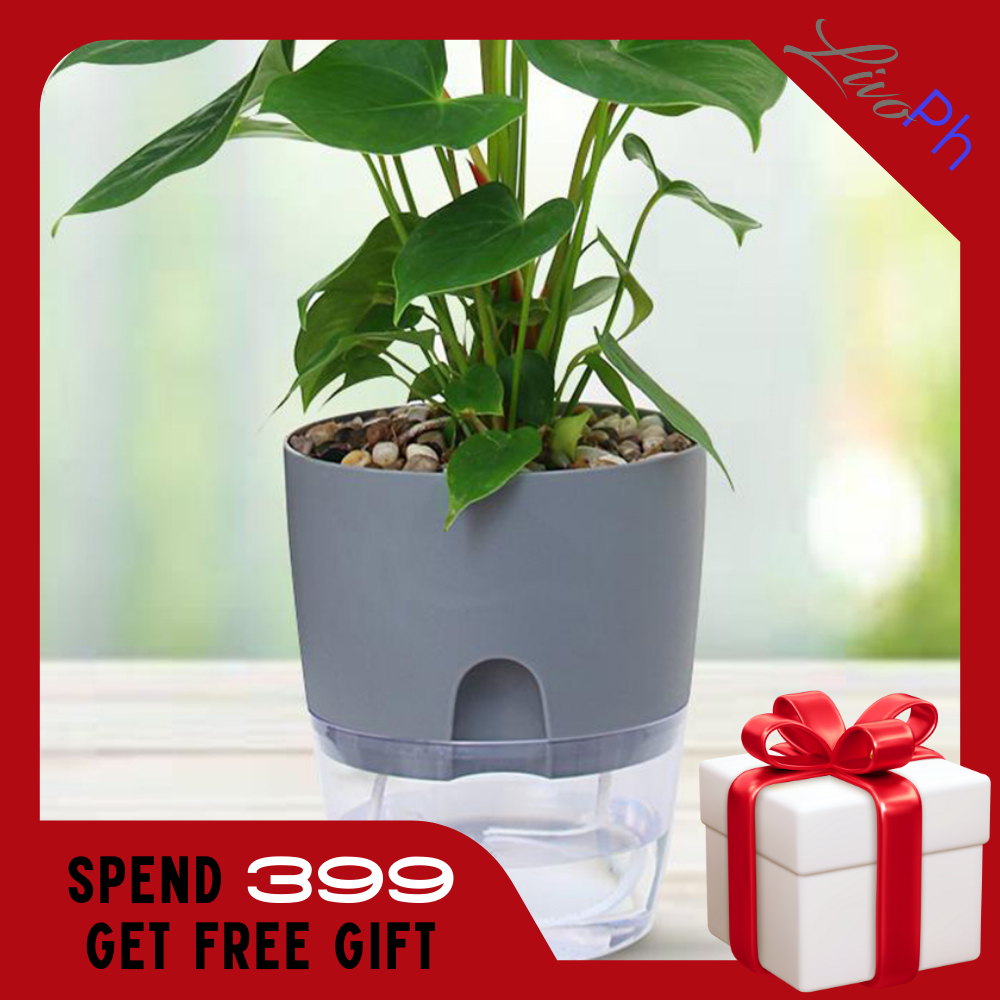 Water Inlet Self Watering Pot Indoor Outdoor Flower Plants Modern ...