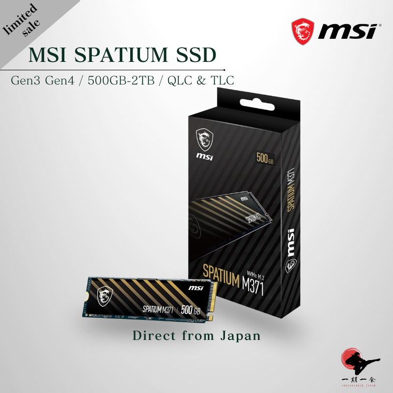 MSI SPATIUM M.2 NVMe SSD Series - High-Speed Internal Drives (500GB ...
