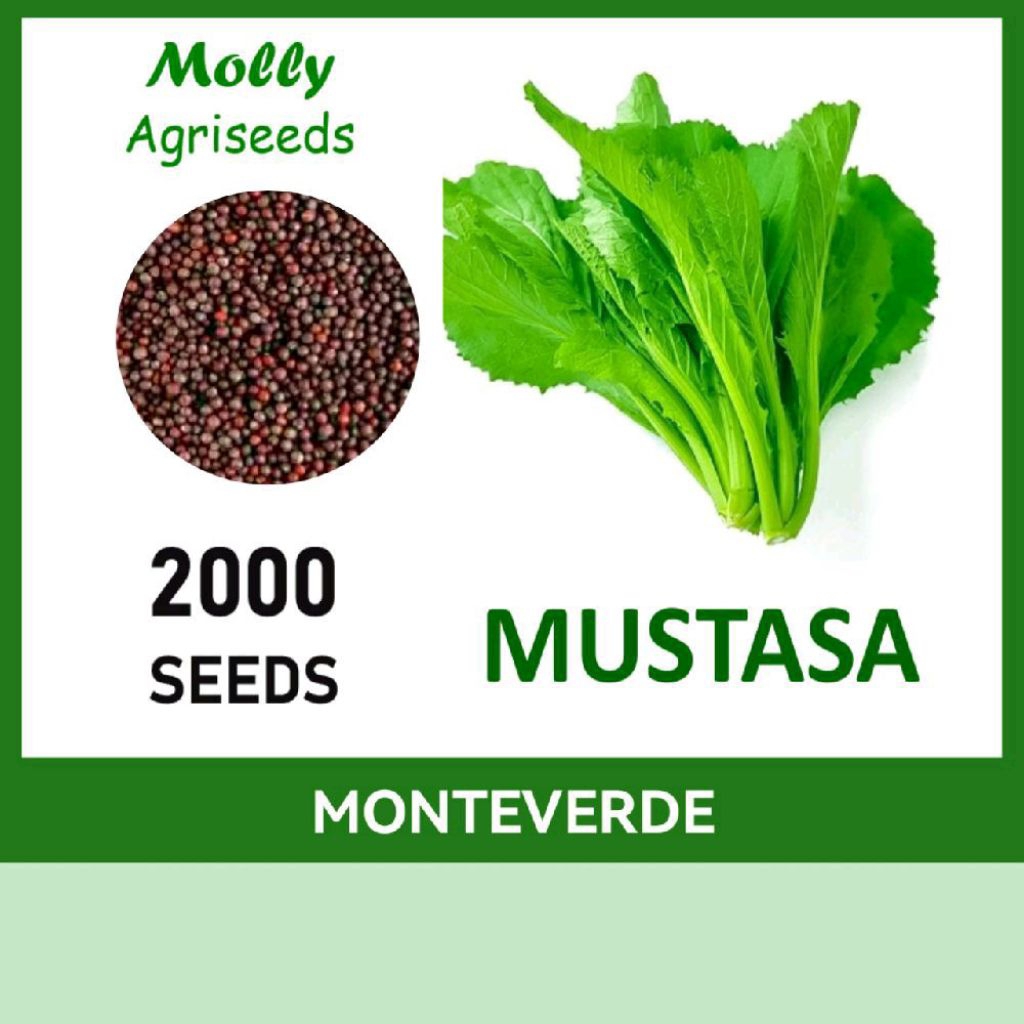 Shop mustard seed for Sale on Shopee Philippines