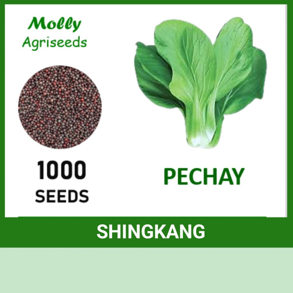 PECHAY SEEDS (Shingkang Variety) Vegetables Seeds | Shopee Philippines