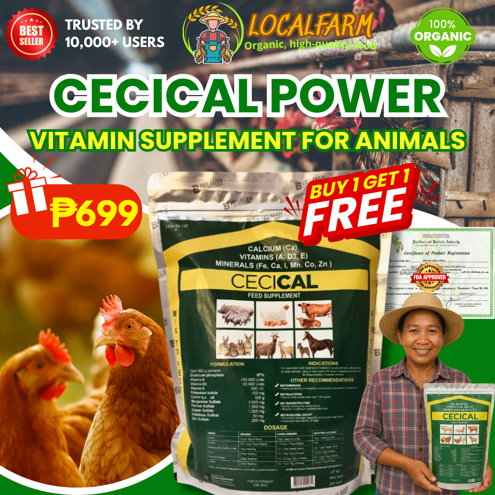 Cecical Powder 1kg (Calcium) Feed Additive (Vitamin & Minerals) for ...