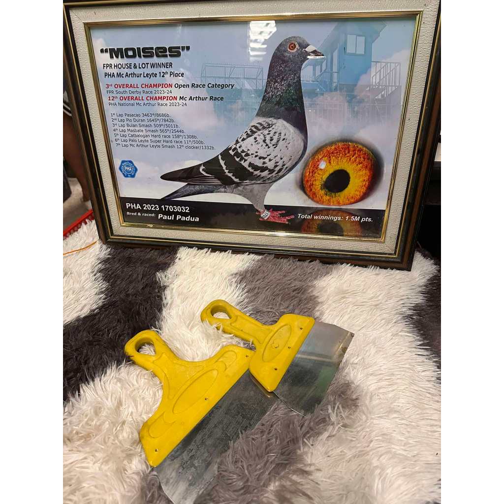 Pigeon Poop Scraper Stainless Steel | Shopee Philippines