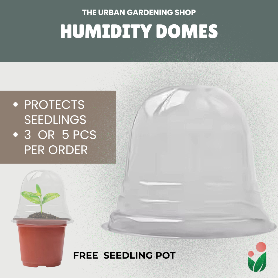 THE URBAN GARDENING SHOP Seedling Humidity Domes with FREE Plant ...