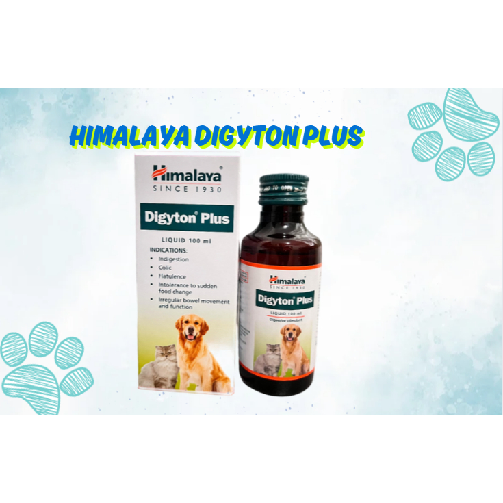 Himalaya Digyton Plus Syrup 1 Bottle | Shopee Philippines