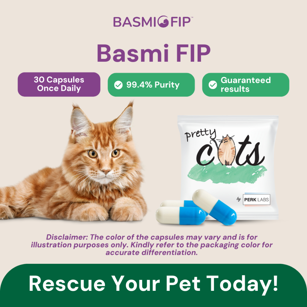 Basmi FIP™ Philippines, Online Shop | Shopee Philippines