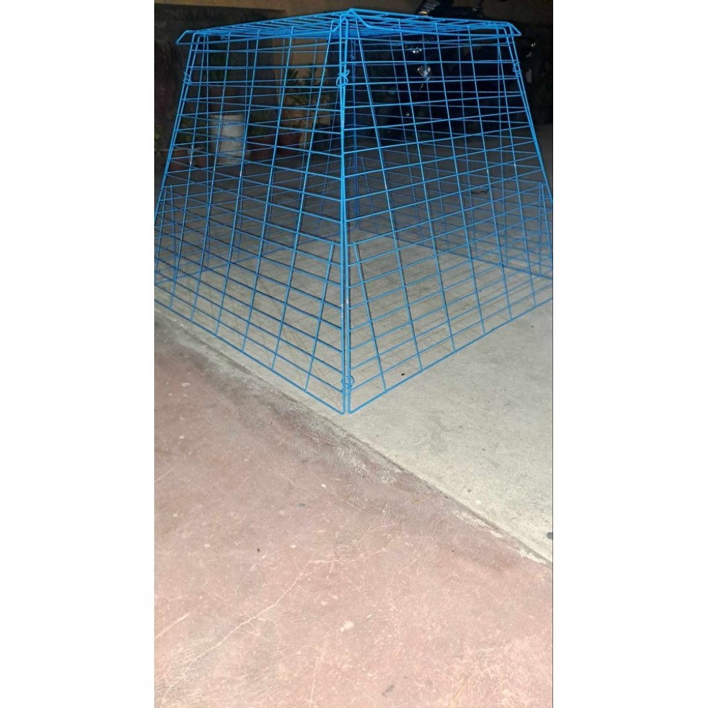 Durable Powder-Coated Scratch Pen for Birds, 17 Lines | Shopee Philippines