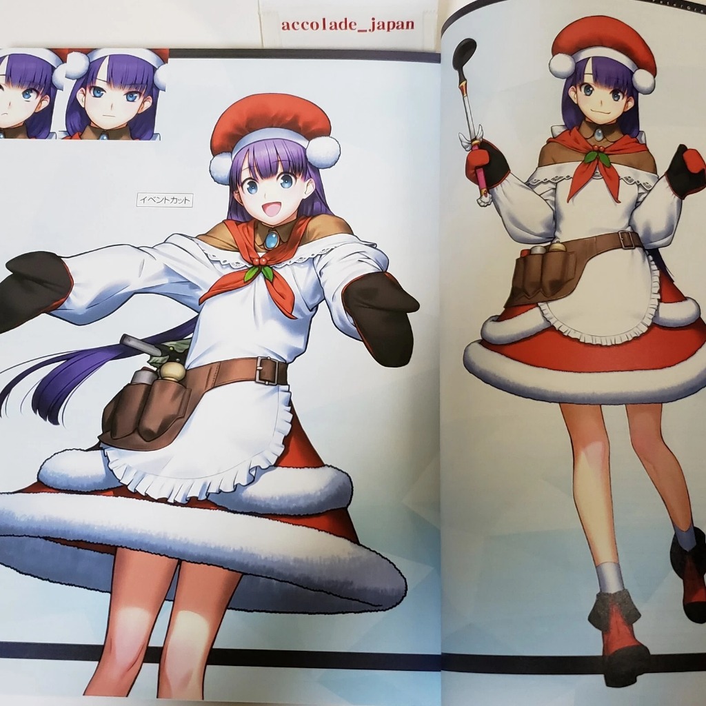 FGO Fate/Grand Order Material Vol. XV (15) — Official Illustration