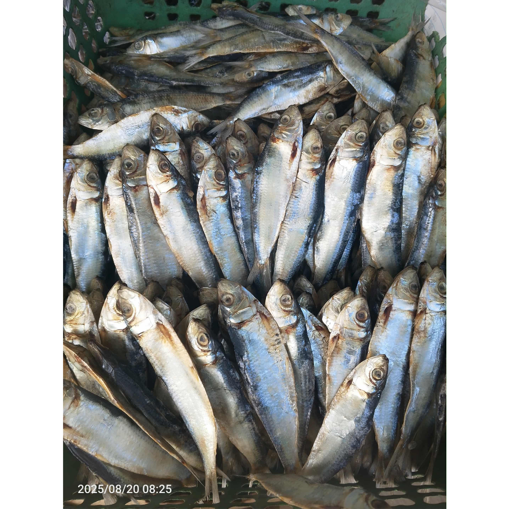 250g Tuyo from Pangasinan | Shopee Philippines
