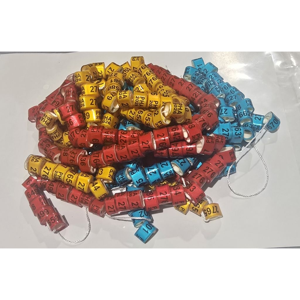 1pcs for 15pesos Comring Pha Oval 2026 7.5mm | Shopee Philippines