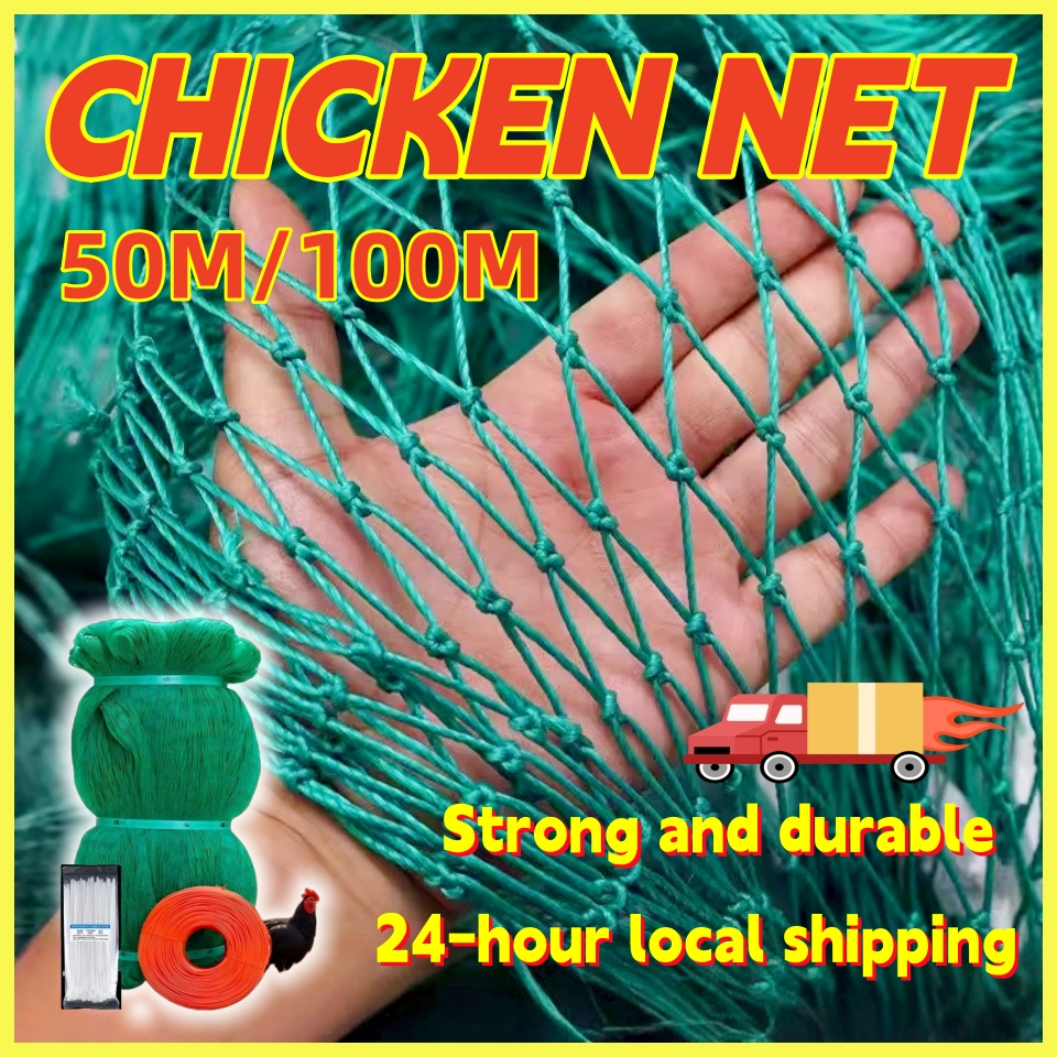 Chicken Net Range Net 50M 100M 7-9ft with Free Rope Cable Tie for ...