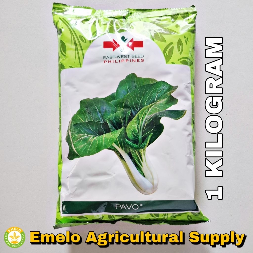PAVO OPV PECHAY SEEDS (1 KILO) BLACK BEHI TYPE PETCHAY by EAST WEST ...