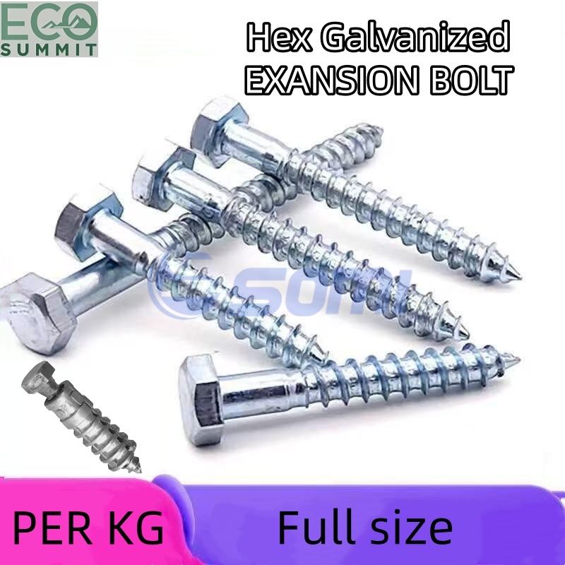 【PER / 1 KILO】Hexagonal Galvanized Lag Screw Log Screw Wood Screws ...