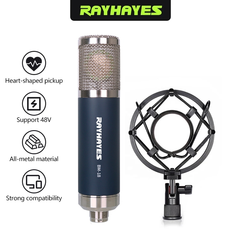 RAYHAYES BM-28 Recording Microphone Condenser Mic Gaming Microphone and ...