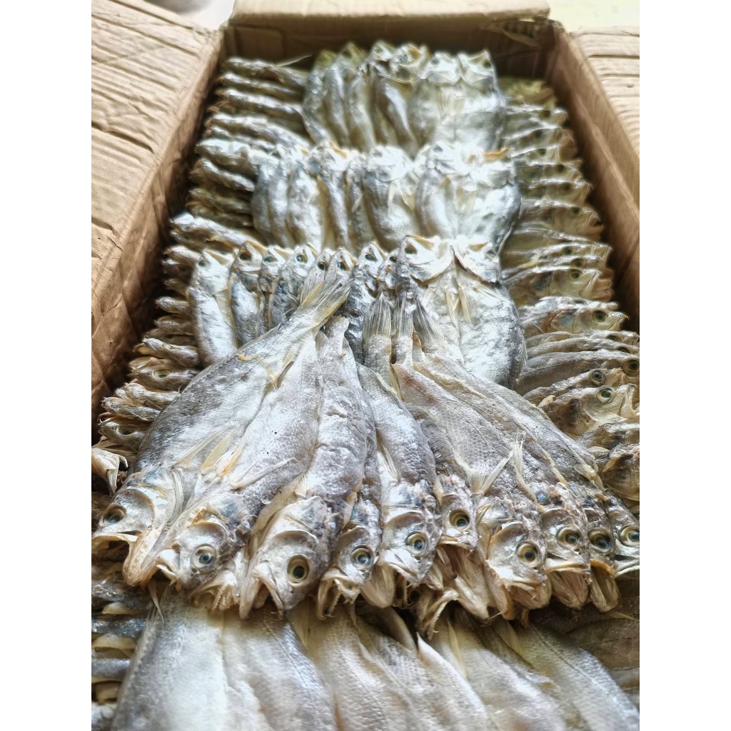 Shop daing for Sale on Shopee Philippines