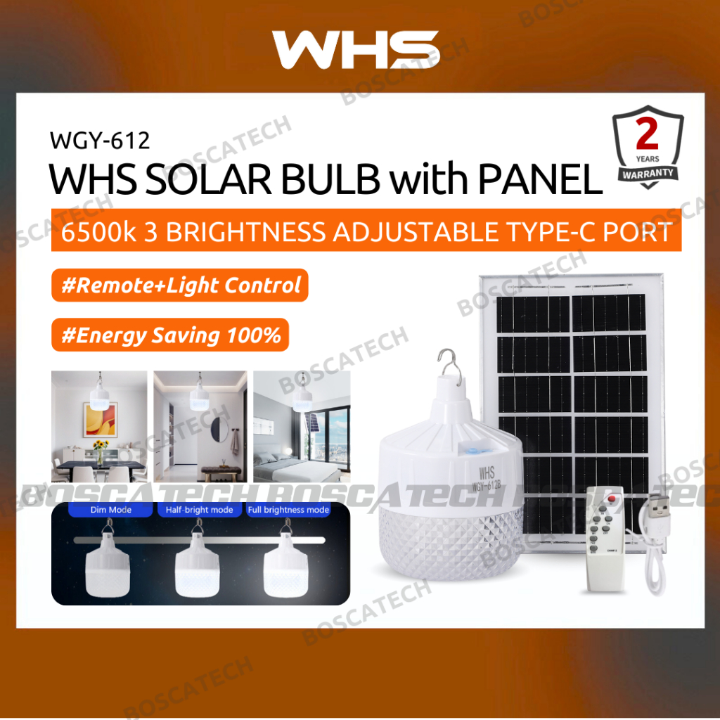 WHS Solar-Powered LED Outdoor Light Bulb with Wireless Remote IP65 ...