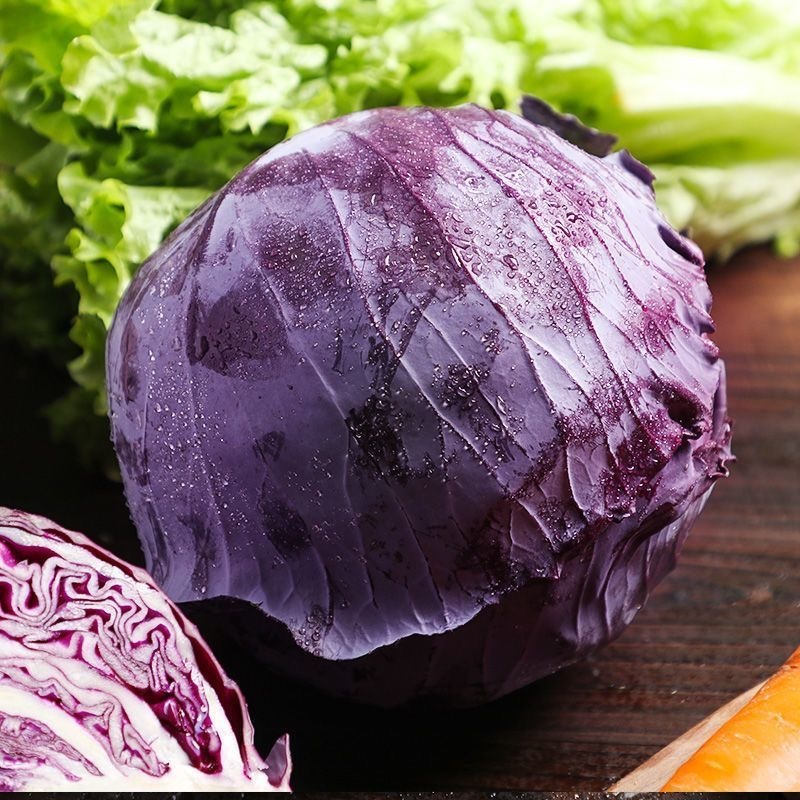 Purple Red Cabbage Repolyo Vegetable Seeds ( 200 seeds/pack ) - Basic ...