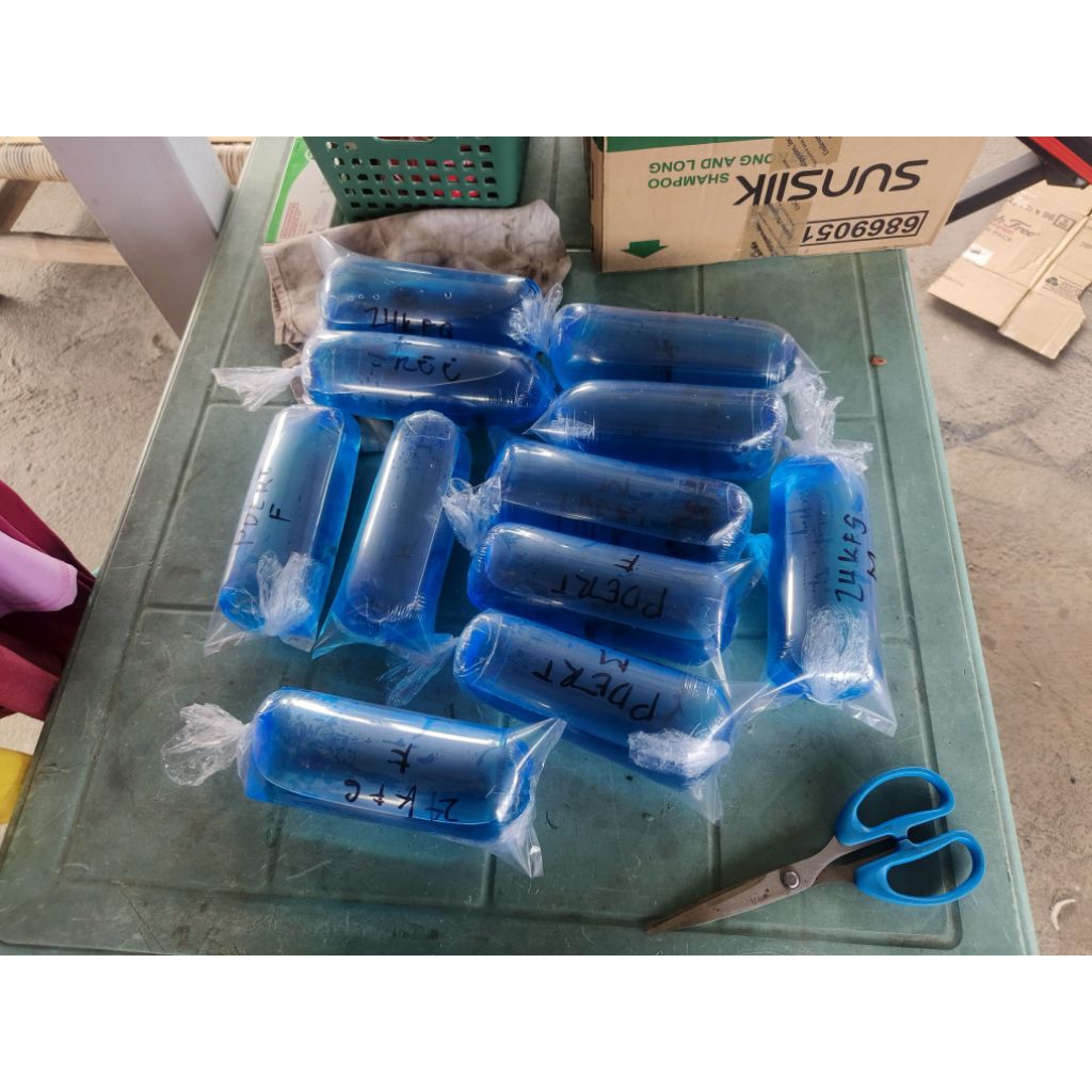 BLUE WATER GDSS/RDSS 1M-1F./1M-2F | Shopee Philippines