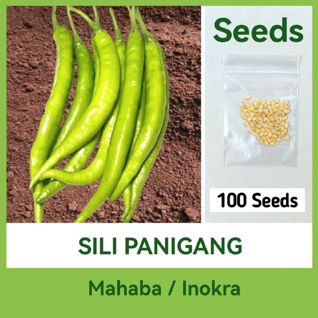 SILING GREEN PANIGANG SEEDS (Inokra Variety) Vegetables Seeds | Shopee ...