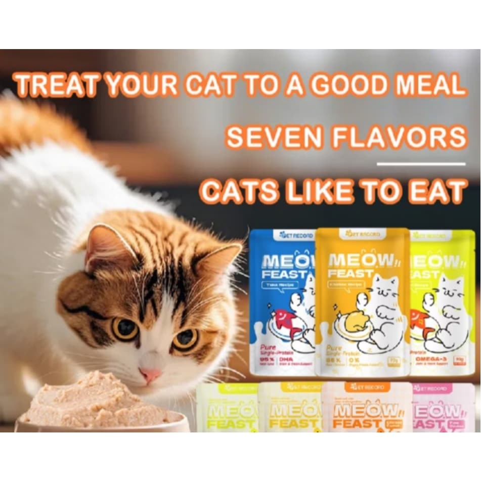 PET RECORD FDA APPROVED Meow Cat Wet Food Pouch for Adult and Kitten ...