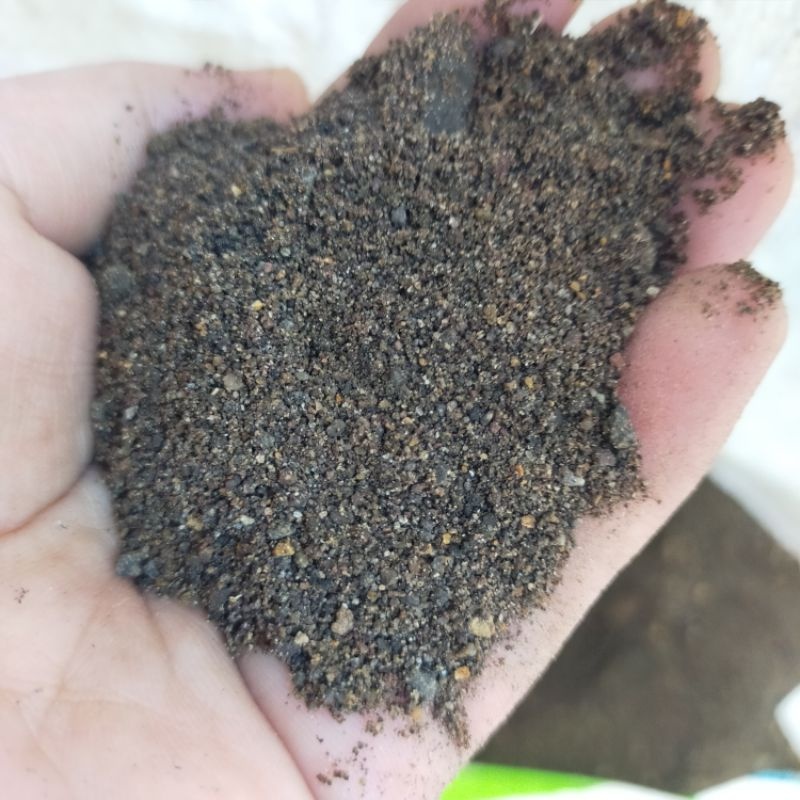 Sand (Binistay / Bistay) 1kg, 5kg and 10kg | Shopee Philippines